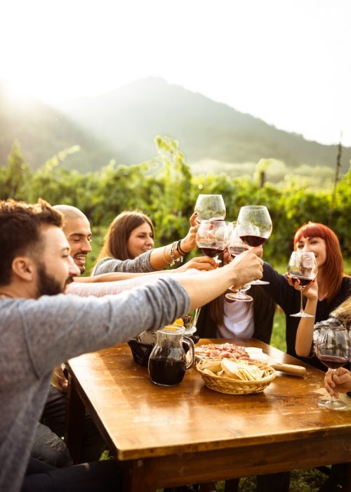 friends doing a wine tasting